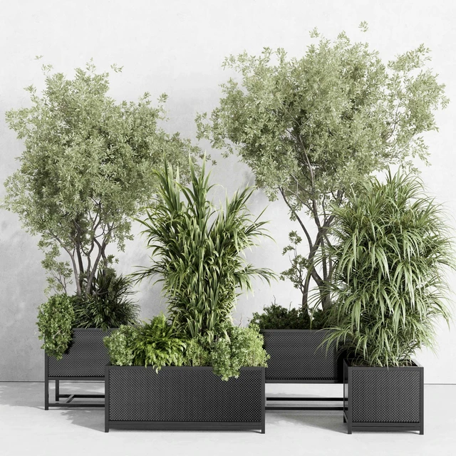 metal box plants on stand - set indoor plant 425 — Скачать