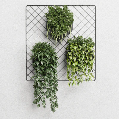 wall plant - hanging plants collection Indoor plant 293 metal dirt vase — Ver 5
