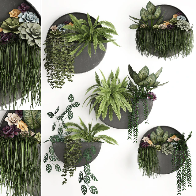 Vertical gardening. 56 Garden, wall decor, ferns, succulents, black metal shelf, flowers, loft, hanging plants, hanging down — Descargar