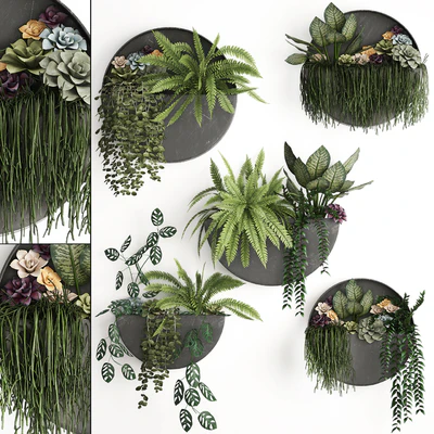 Vertical gardening. 56 Garden, wall decor, ferns, succulents, black metal shelf, flowers, loft, hanging plants, hanging down — Ver 1