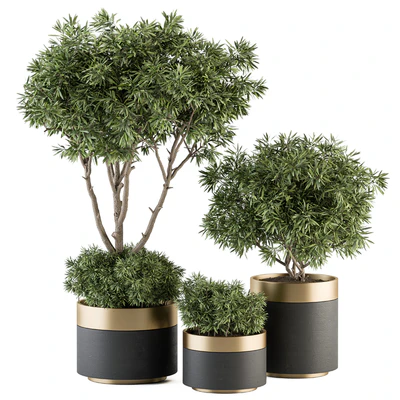indoor Plant Set 361- Tree and Plant Set in pot — Вид 1