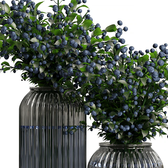 Blueberry Fruit Bouquet — Descargar