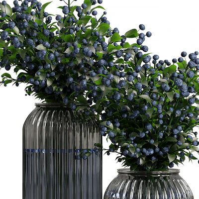 Blueberry Fruit Bouquet — Ver 2