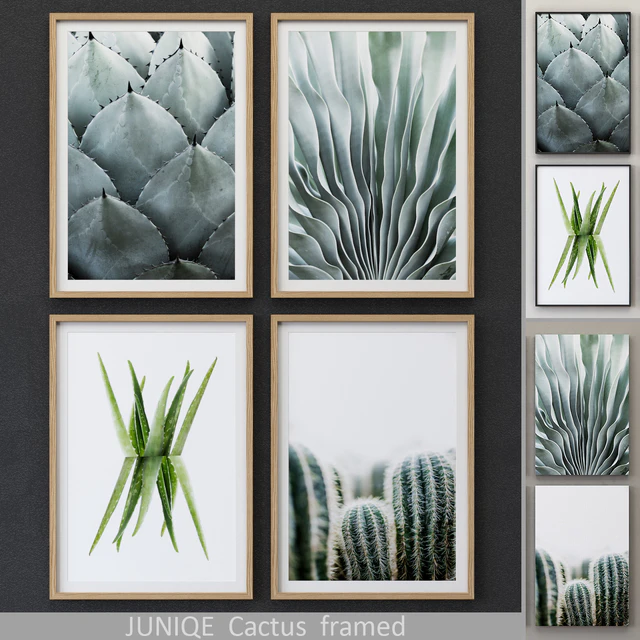 Cactus framed — Скачать