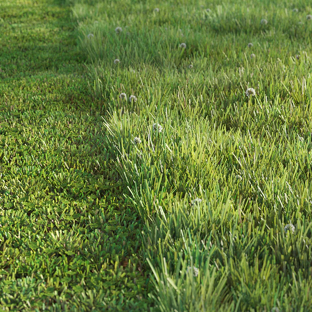 Sports turf — Descargar