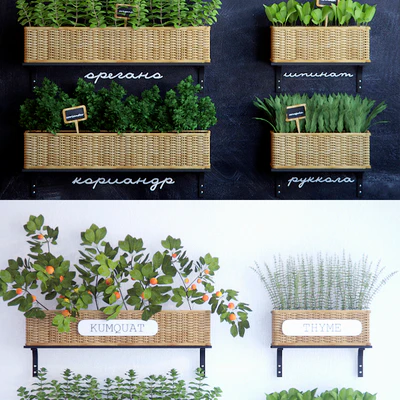 Kitchen garden 3 — Ver 2