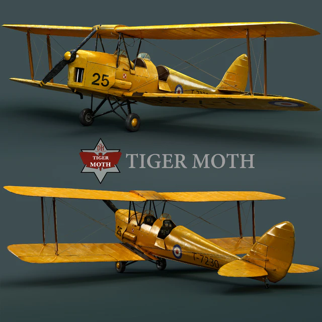 Tiger moth — Скачать