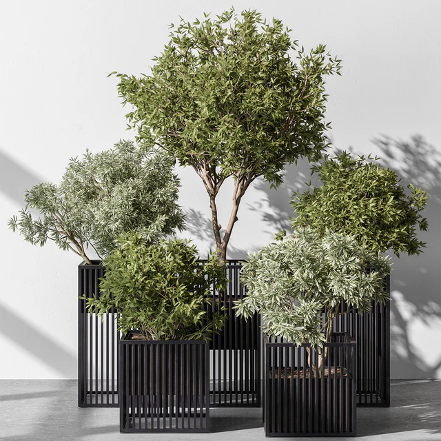 indoor Plant Set 380- Tree and Plant Set in pot — Descargar