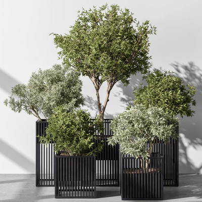 indoor Plant Set 380- Tree and Plant Set in pot — Ver 3