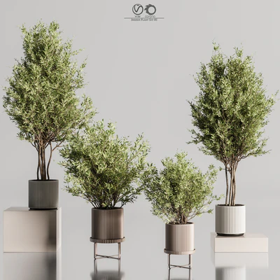 Indoor Plant Set 85 — Ver 3