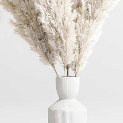 bouquet 13 concrete vse plant pampas and dry hogweed dry leaves — Вид 4