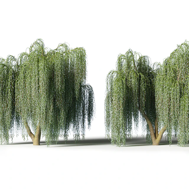 Willow — Descargar