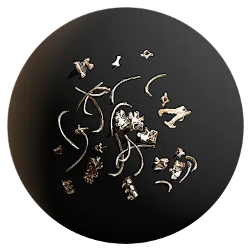 scattered bones 005 — Descargar