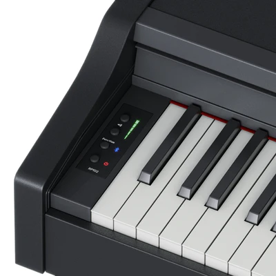Roland RP 102 — Ver 2