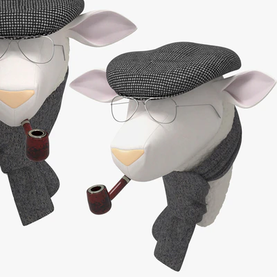 SOFT SHEEP - RENÉ — Вид 1