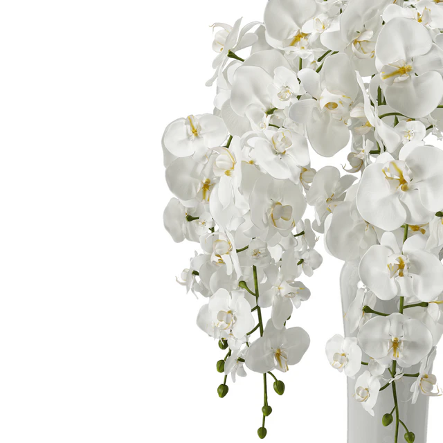 Орхидея (phalaenopsis) букет — Скачать