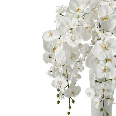 Орхидея (phalaenopsis) букет — Вид 2
