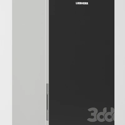 Refrigerator set Liebherr — Ver 3
