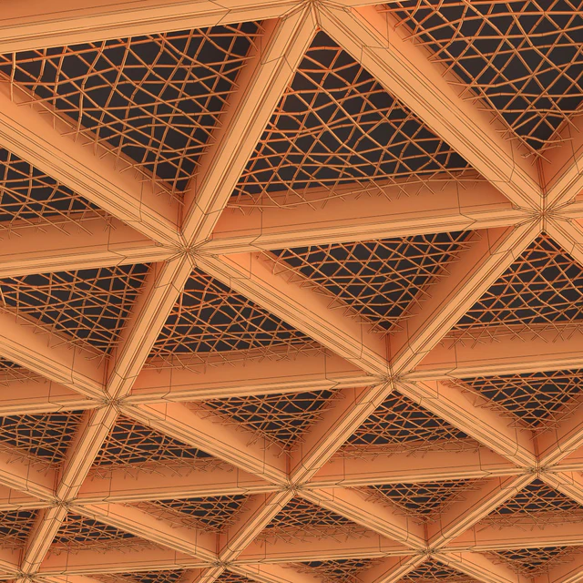 Ceiling tringle frame branch n1 / Ceiling of branches in a triangular frame — Descargar