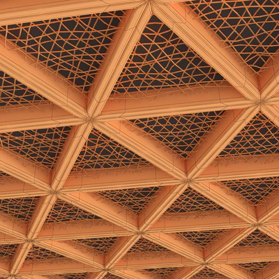 Ceiling tringle frame branch n1 / Ceiling of branches in a triangular frame — Ver 2
