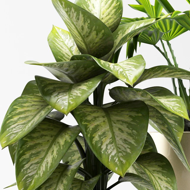 PLANTS 91 — Descargar