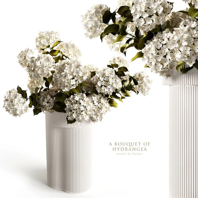 A bouquet of hydrangea 2 — Ver 1