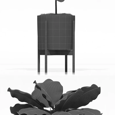 Plants collection 69 Modernica pots — Ver 3