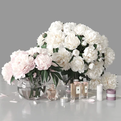 Peonies 2 — Ver 1
