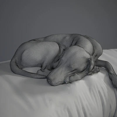 Gert — Ver 2