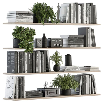 Decorative Set on Shelves and Decor objects - Set 11 — Ver 4
