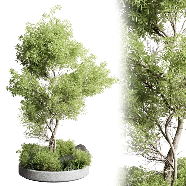 Collection outdoor indoor 85 pot plant & tree & bush — Descargar