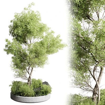 Collection outdoor indoor 85 pot plant & tree & bush — Ver 1