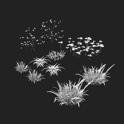 Grass and Flower — Вид 2
