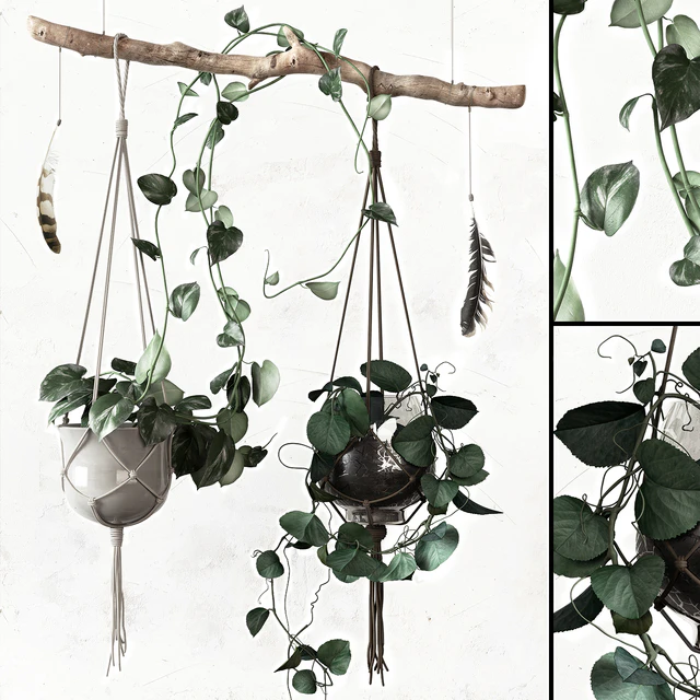 PLANTSET — Скачать