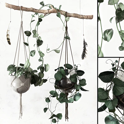 PLANTSET — Вид 1
