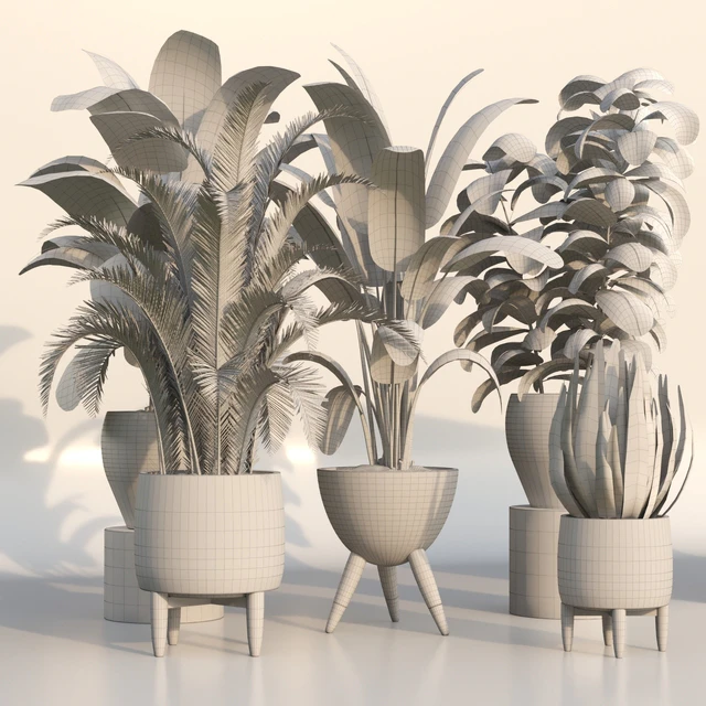 bamboo-Censoria-Indoor plant set 01 — Скачать