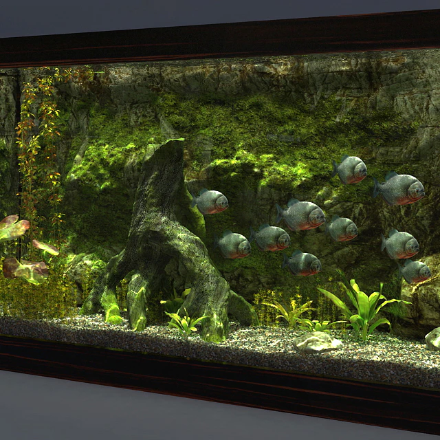 Aquarium — Descargar