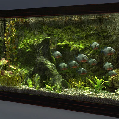 Aquarium — Ver 2