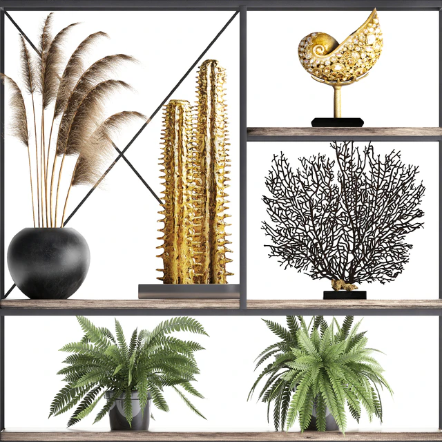 Decorative set 14. Decor shelf, tusk, pampas grass, dried flower, coral, cactus, fern, rack, loft decor — Descargar