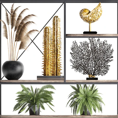 Decorative set 14. Decor shelf, tusk, pampas grass, dried flower, coral, cactus, fern, rack, loft decor — Ver 3