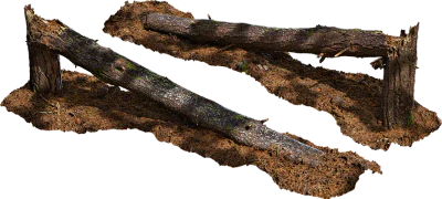 fallen pine tree 004 — Descargar