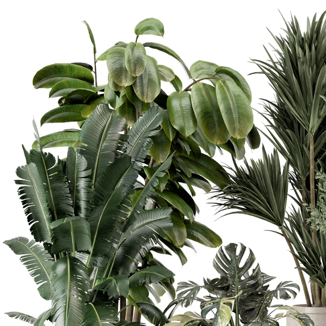 Indoor Plants in Ferm Living Bau Pot Large - Set 1328 — Descargar