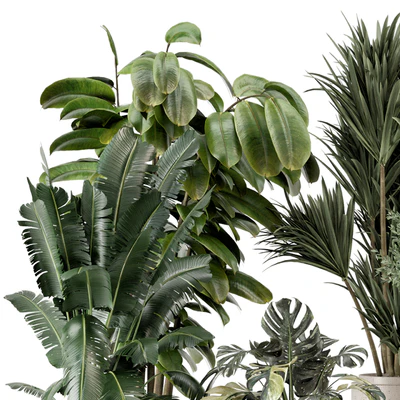 Indoor Plants in Ferm Living Bau Pot Large - Set 1328 — Ver 6