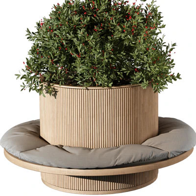indoor Plant 249 — Вид 3