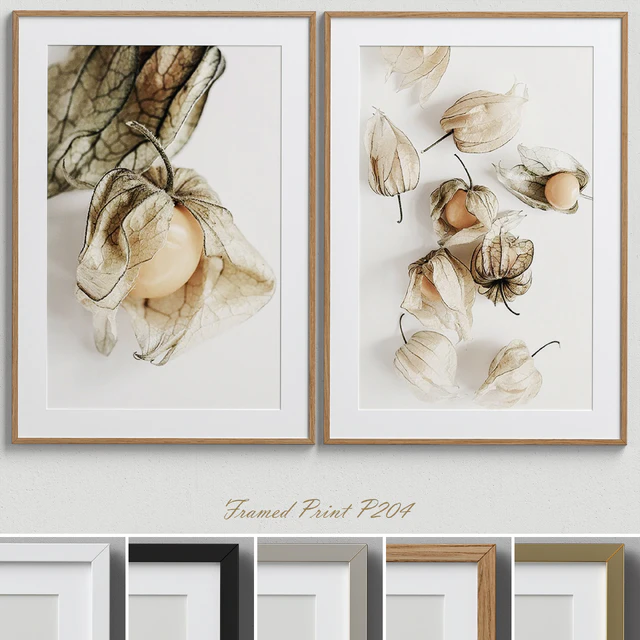 Framed Print P-204 — Скачать