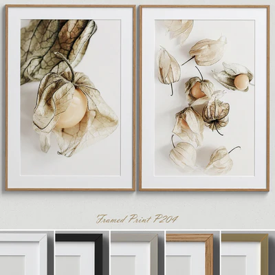 Framed Print P-204 — Вид 1
