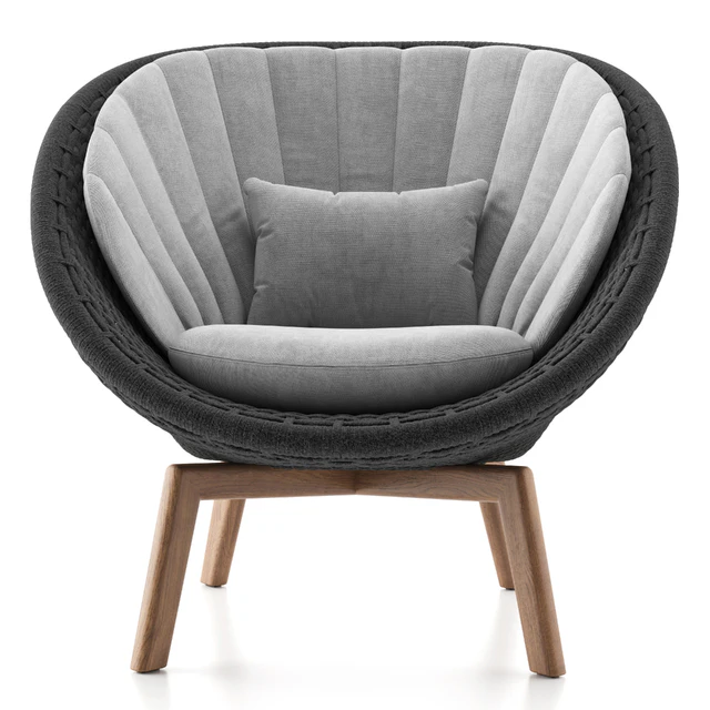 Peacock Lounge Chair — Descargar