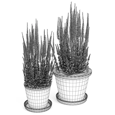 Red plant — Ver 2