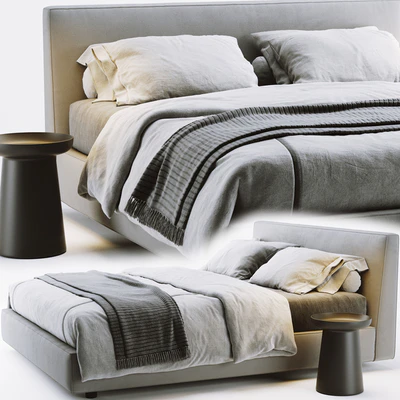 Flexteam ray bed — Ver 3