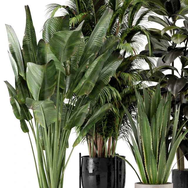 Indoor Plants in Ferm Living Bau Pot Large - Set 572 — Скачать